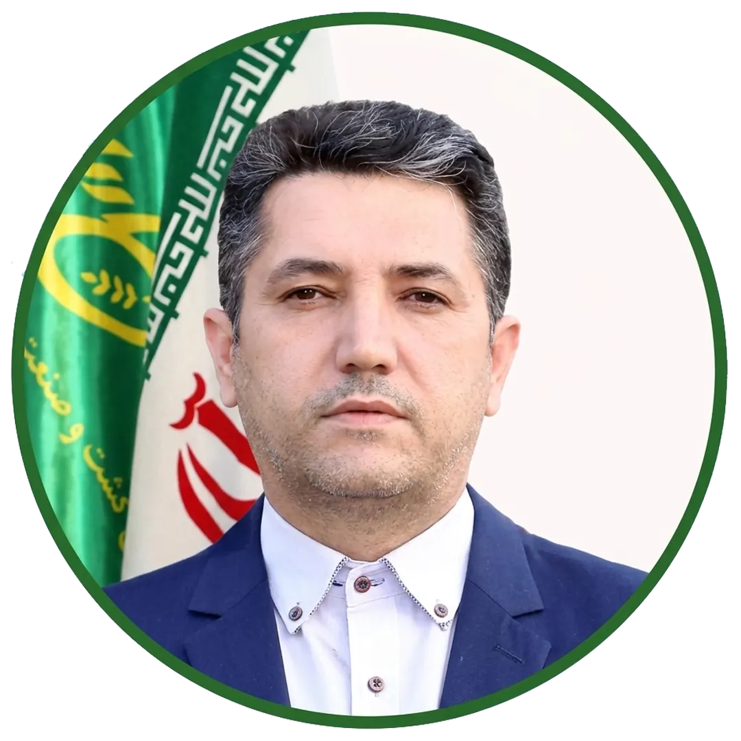 حمید صولت